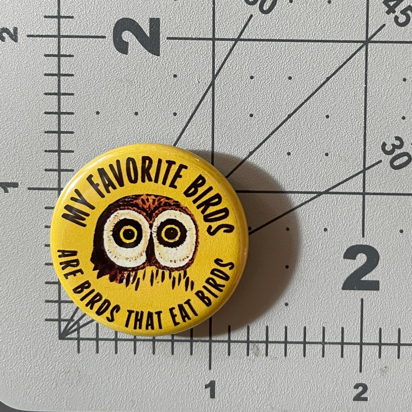 My favorite Birds Are Birds That Eat Birds (button or magnet)