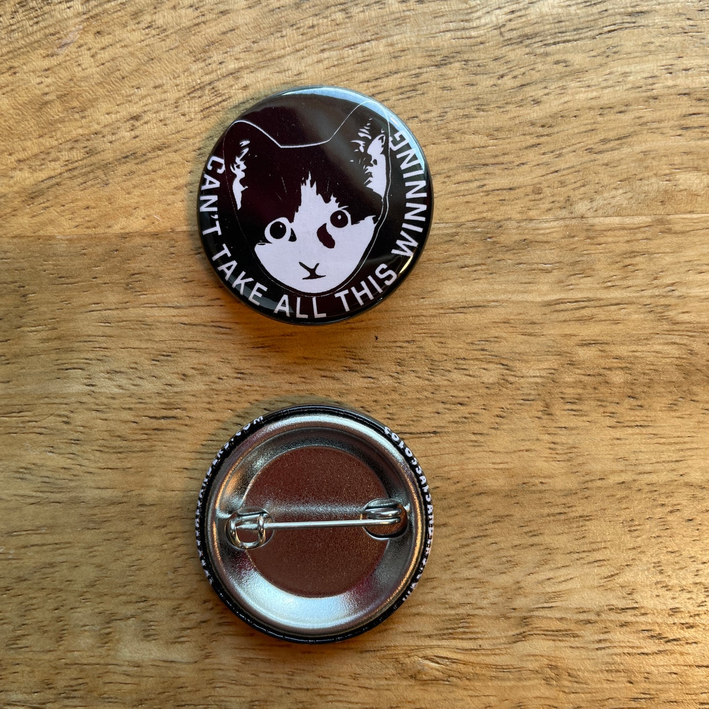 Can't Take All This Winning Kitten button or magnet
