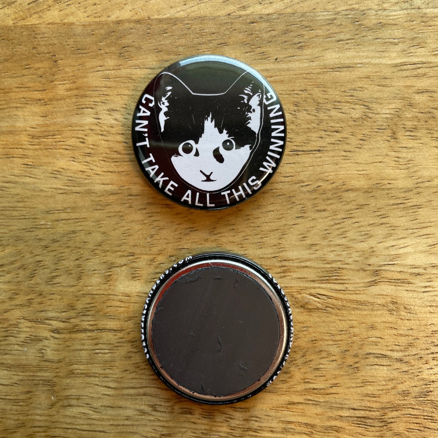 Can't Take All This Winning Kitten button or magnet