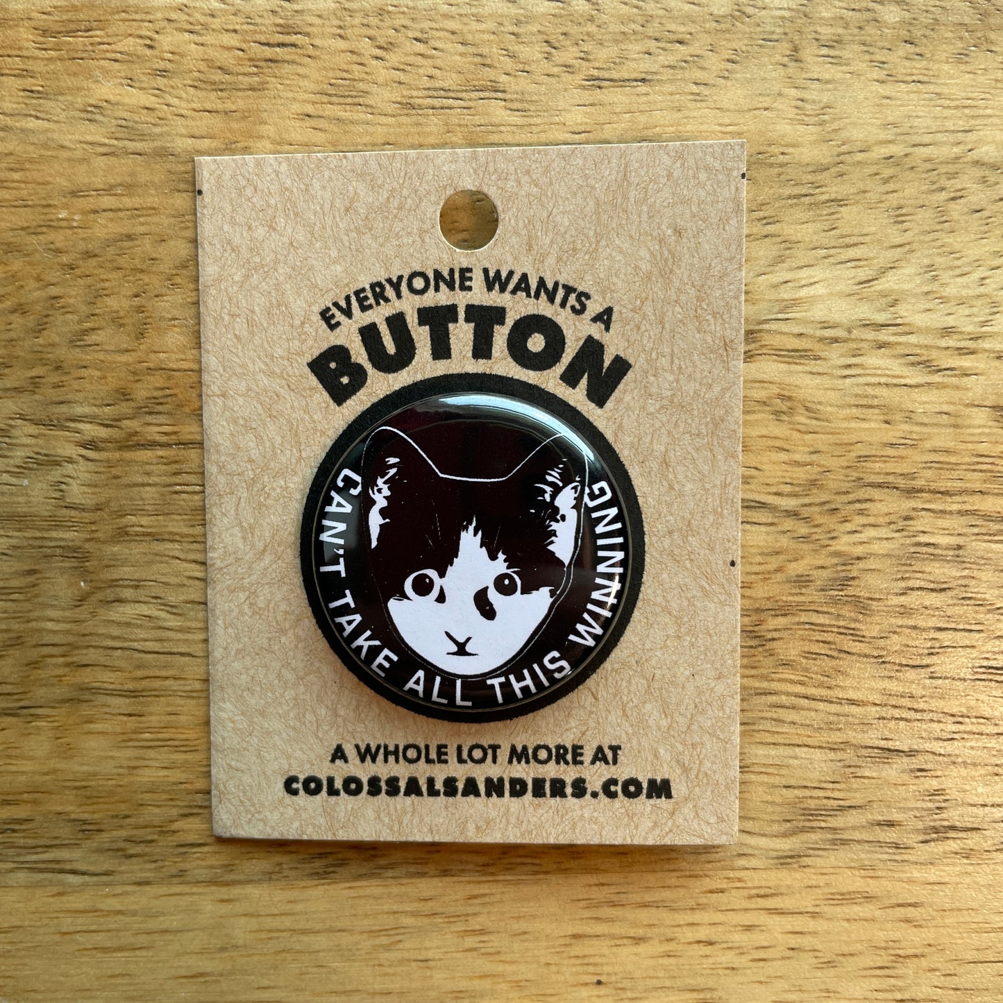 Can't Take All This Winning Kitten button or magnet