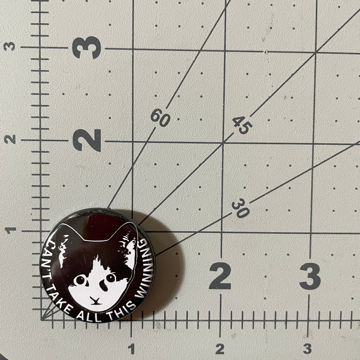 Can't Take All This Winning Kitten button or magnet