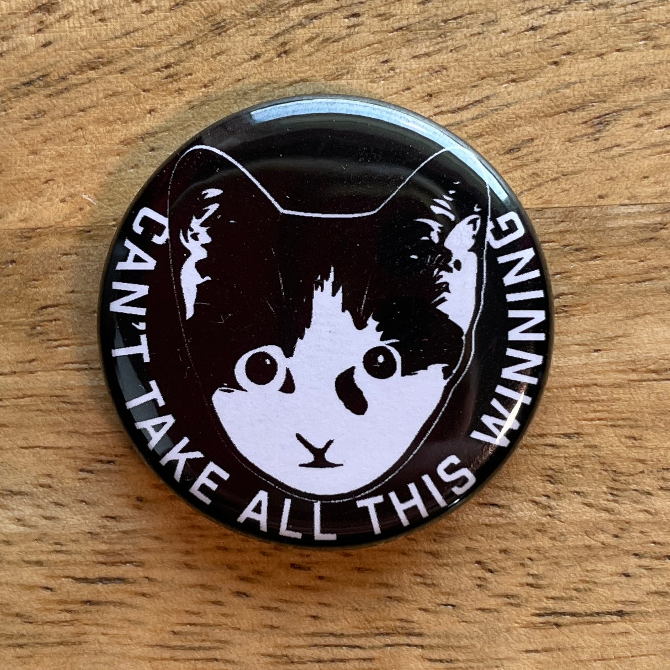 Can't Take All This Winning Kitten button or magnet