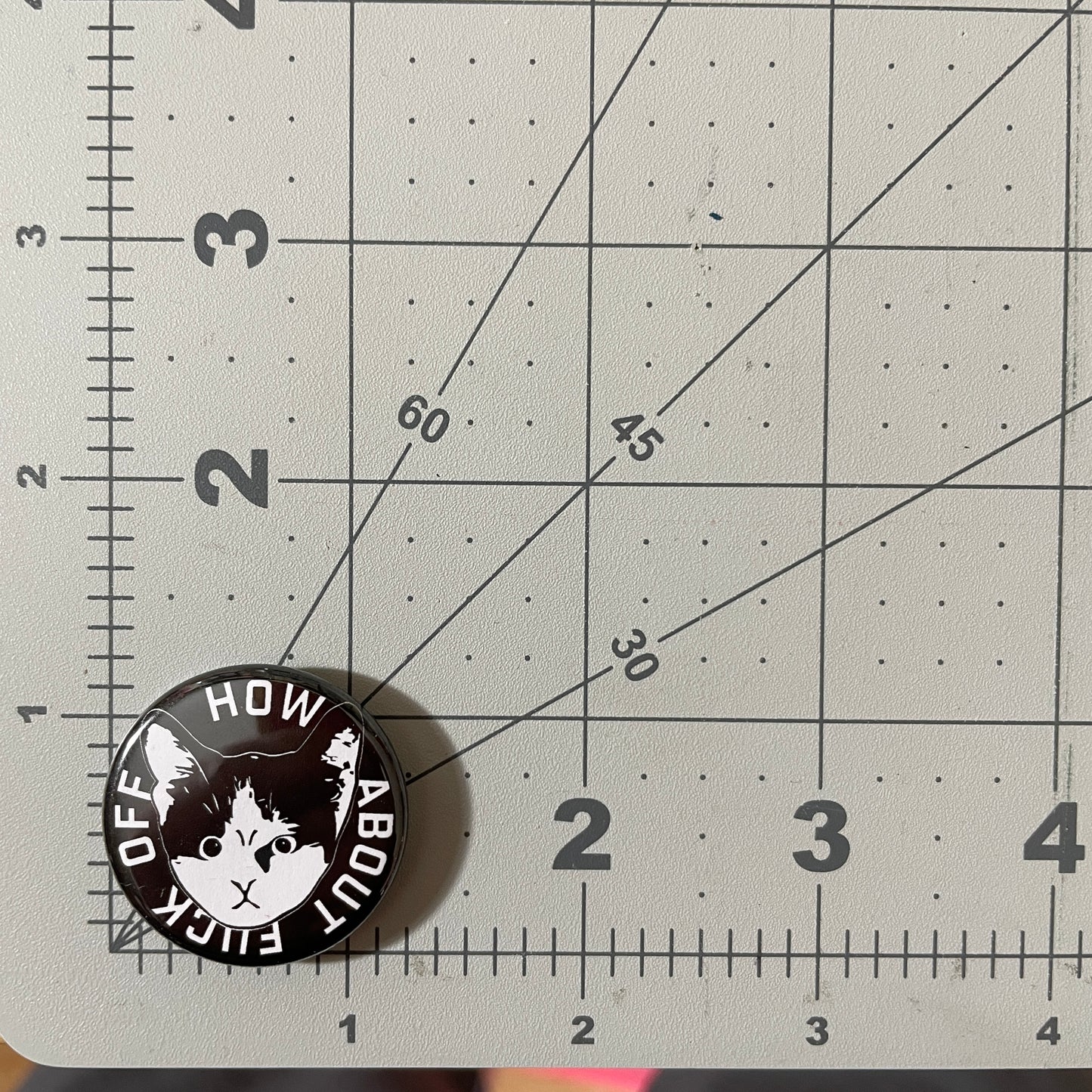 How About F Off Kitten button or magnet