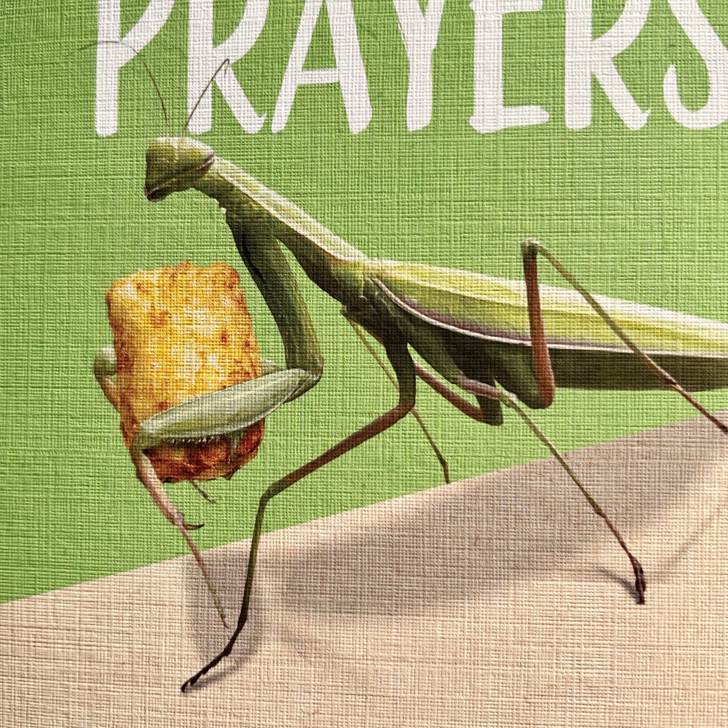 Tots and prayers funny greeting card