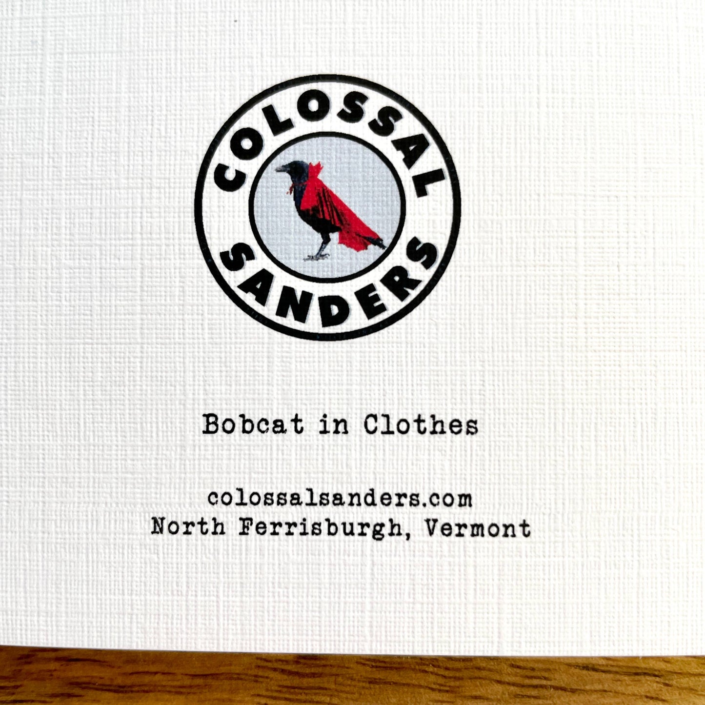 Bobcat in Clothes funny animal greeting card