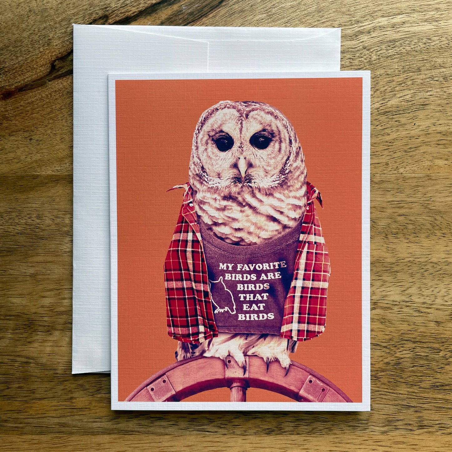 Owl Card funny bird greeting card
