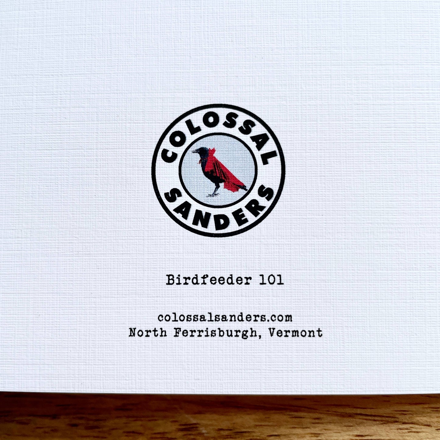 Squirrel/Birdfeeder 101 funny bird greeting card