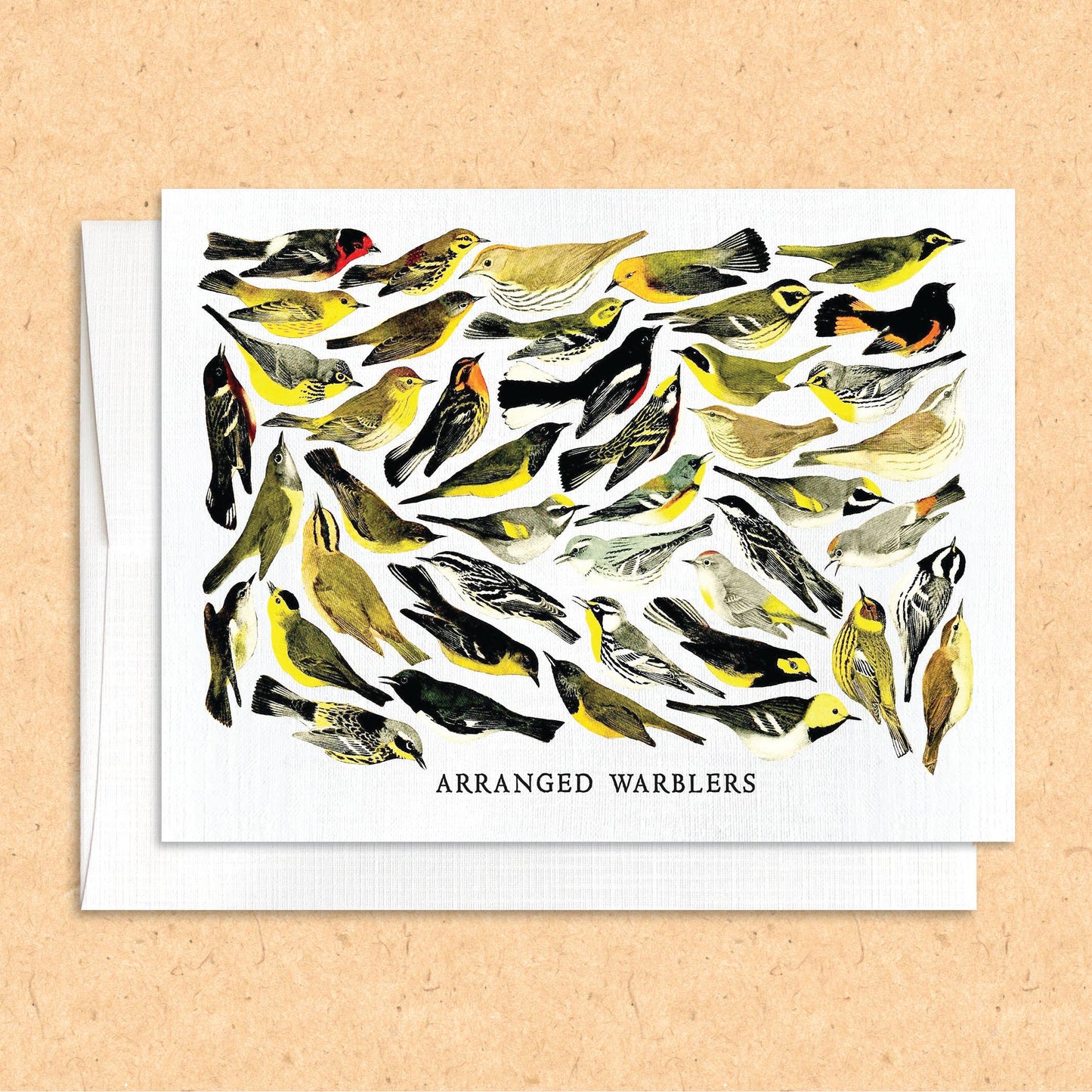 Arranged Warblers bird card