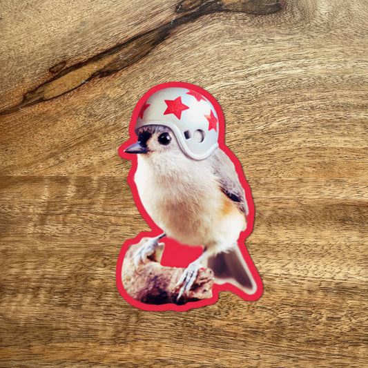Bird Wearing Helmet funny bird sticker