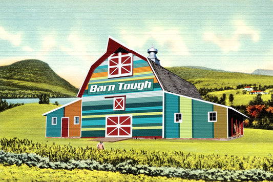 Barn Tough (wide barn) art print