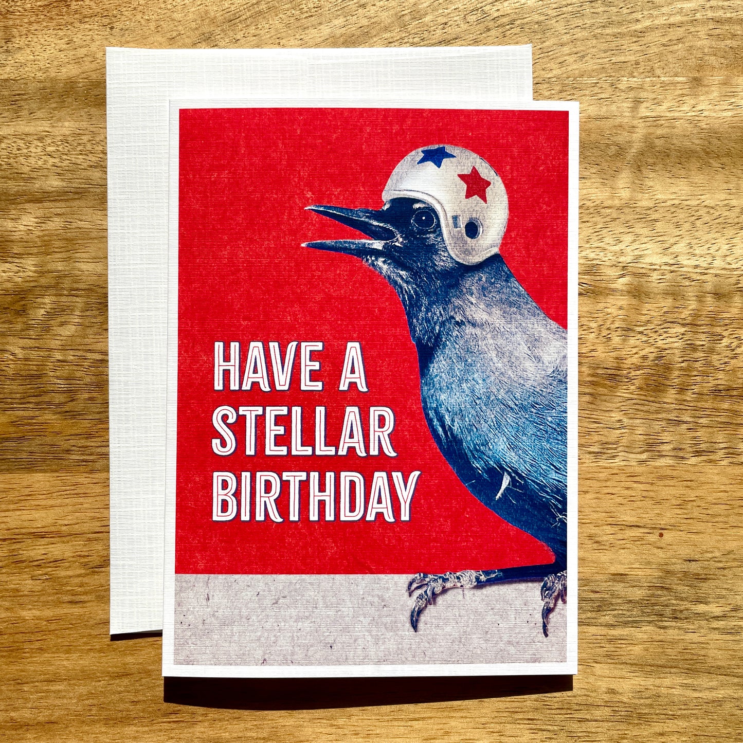 Stellar Steller's Jay Bird Helmet Birthday funny birthday card