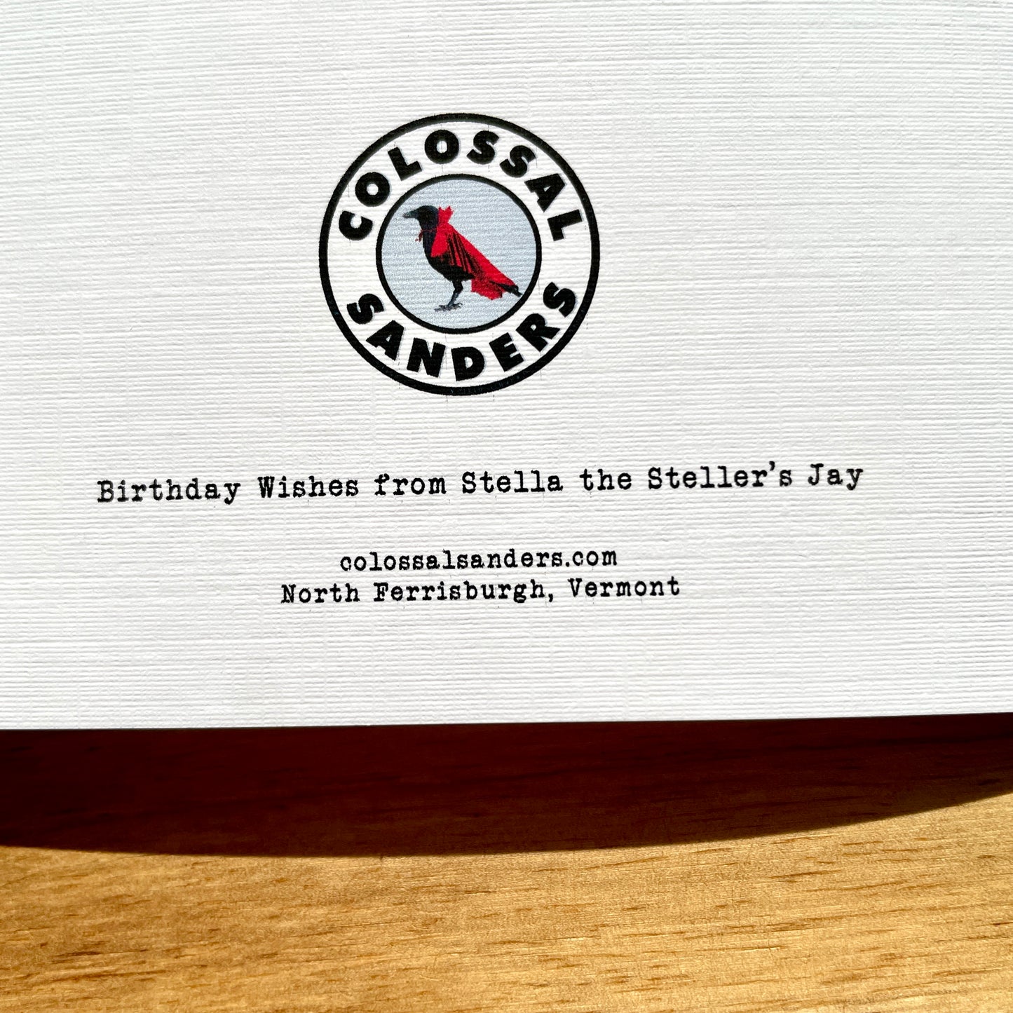 Stellar Steller's Jay Bird Helmet Birthday funny birthday card