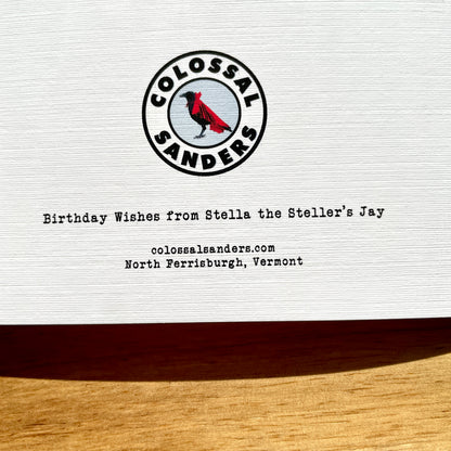 Stellar Steller's Jay Bird Helmet Birthday funny birthday card