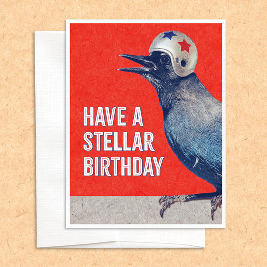 Stellar Steller's Jay Bird Helmet Birthday funny birthday card