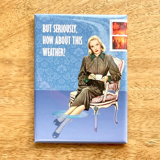 How about this weather funny magnet