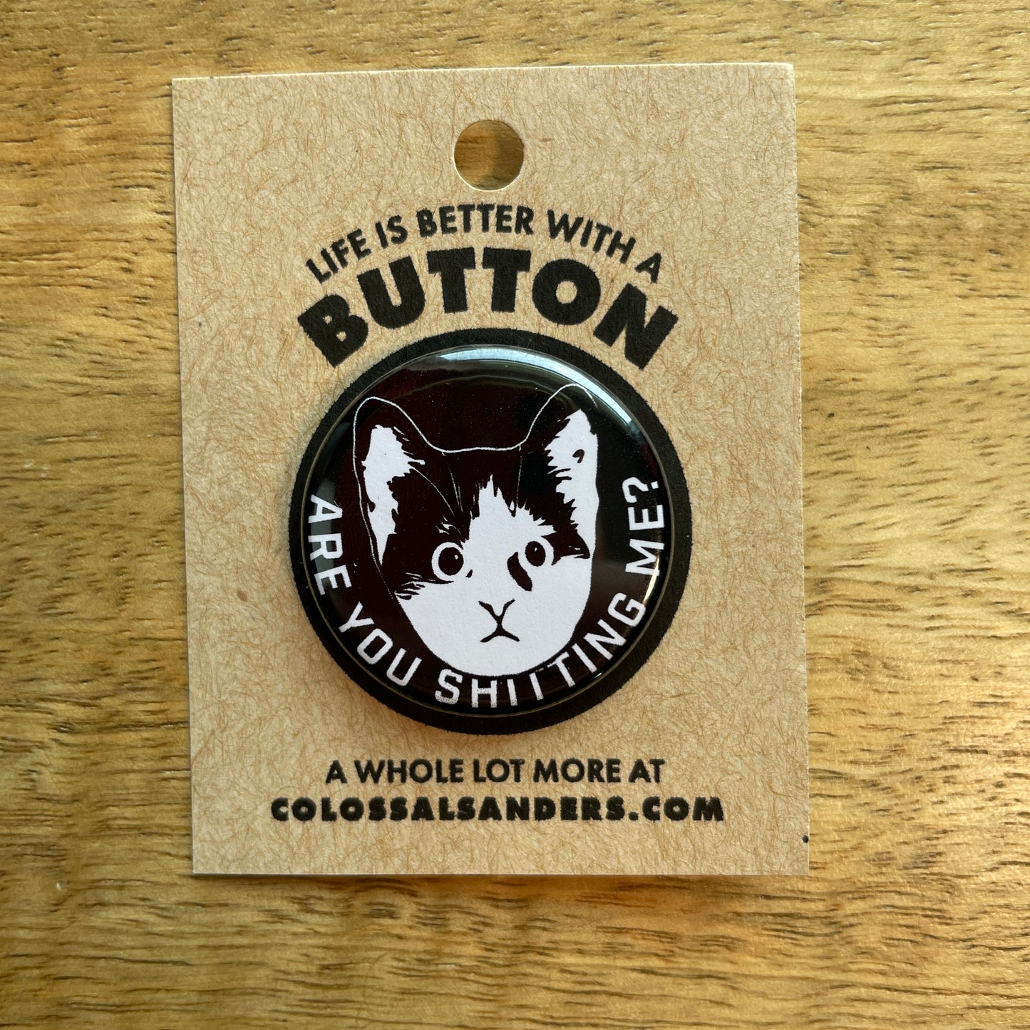 Are You Shitting Me Kitten button or magnet
