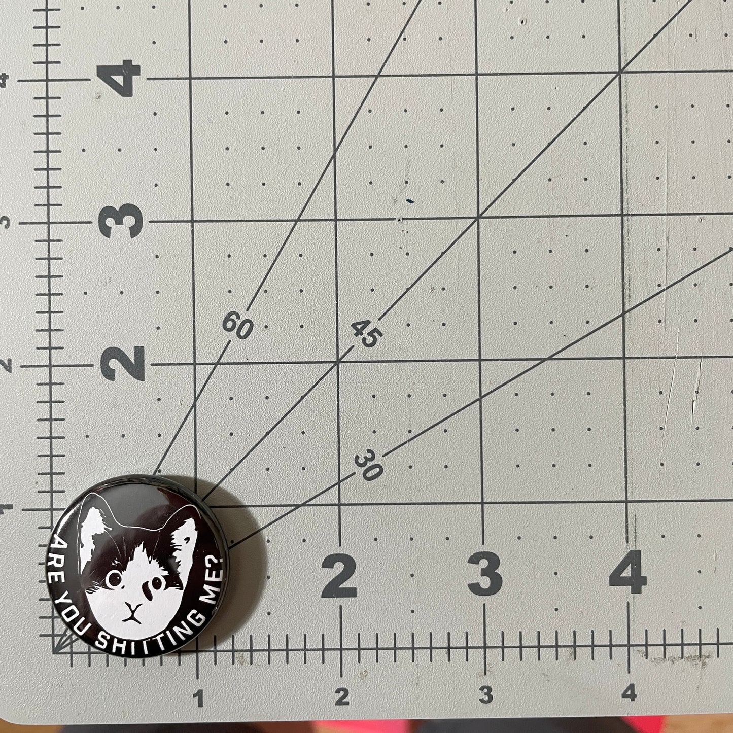 Are You Shitting Me Kitten button or magnet