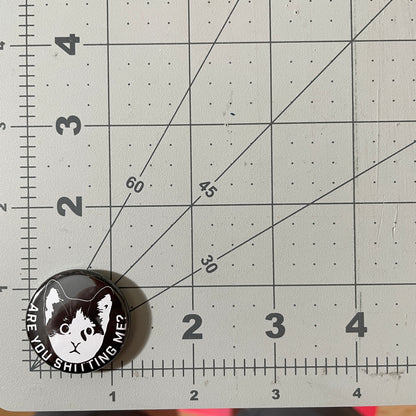 Are You Shitting Me Kitten button or magnet