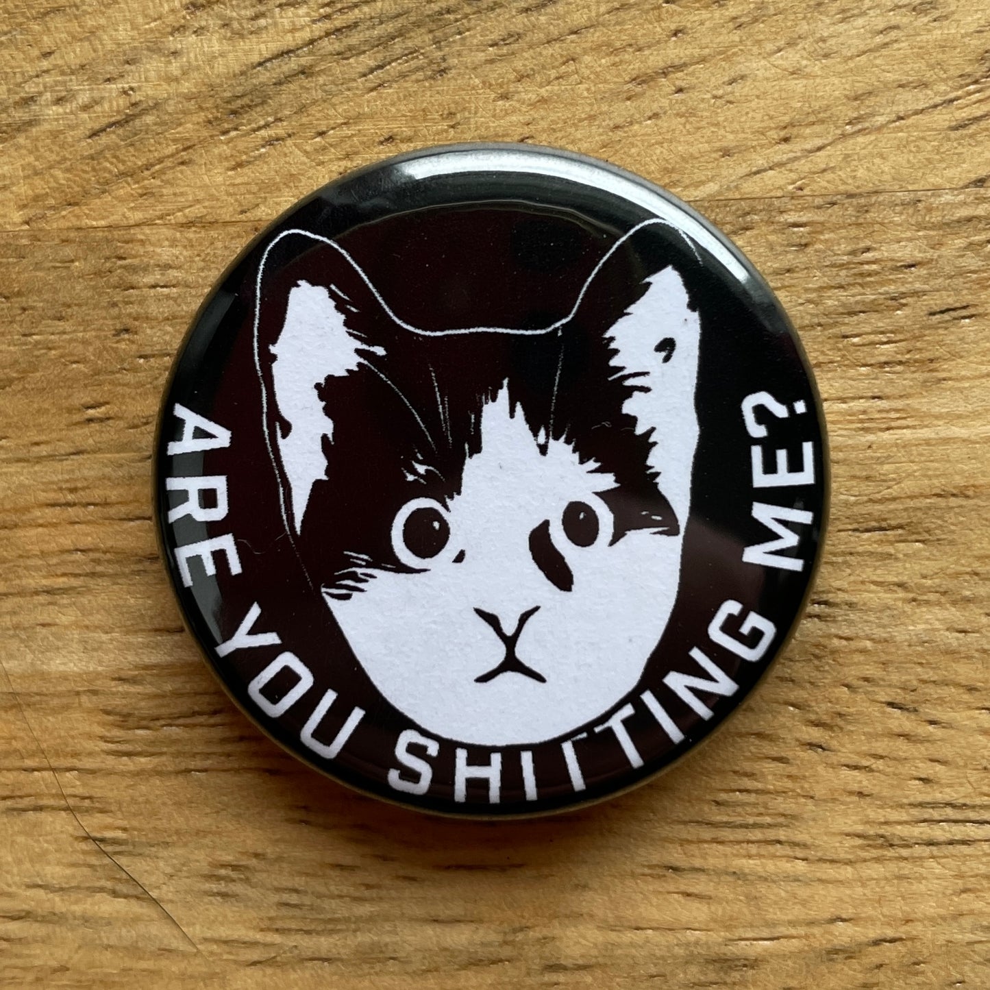 Are You Shitting Me Kitten button or magnet