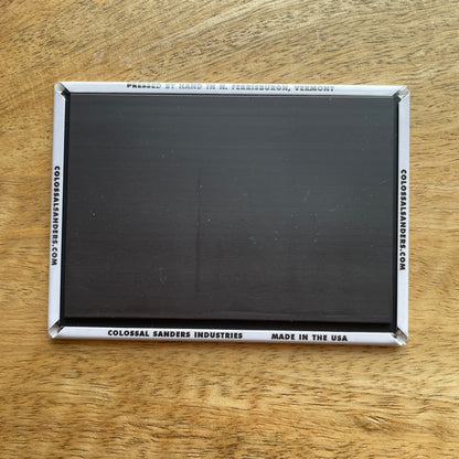 Late Bird Gets the Worm funny magnet