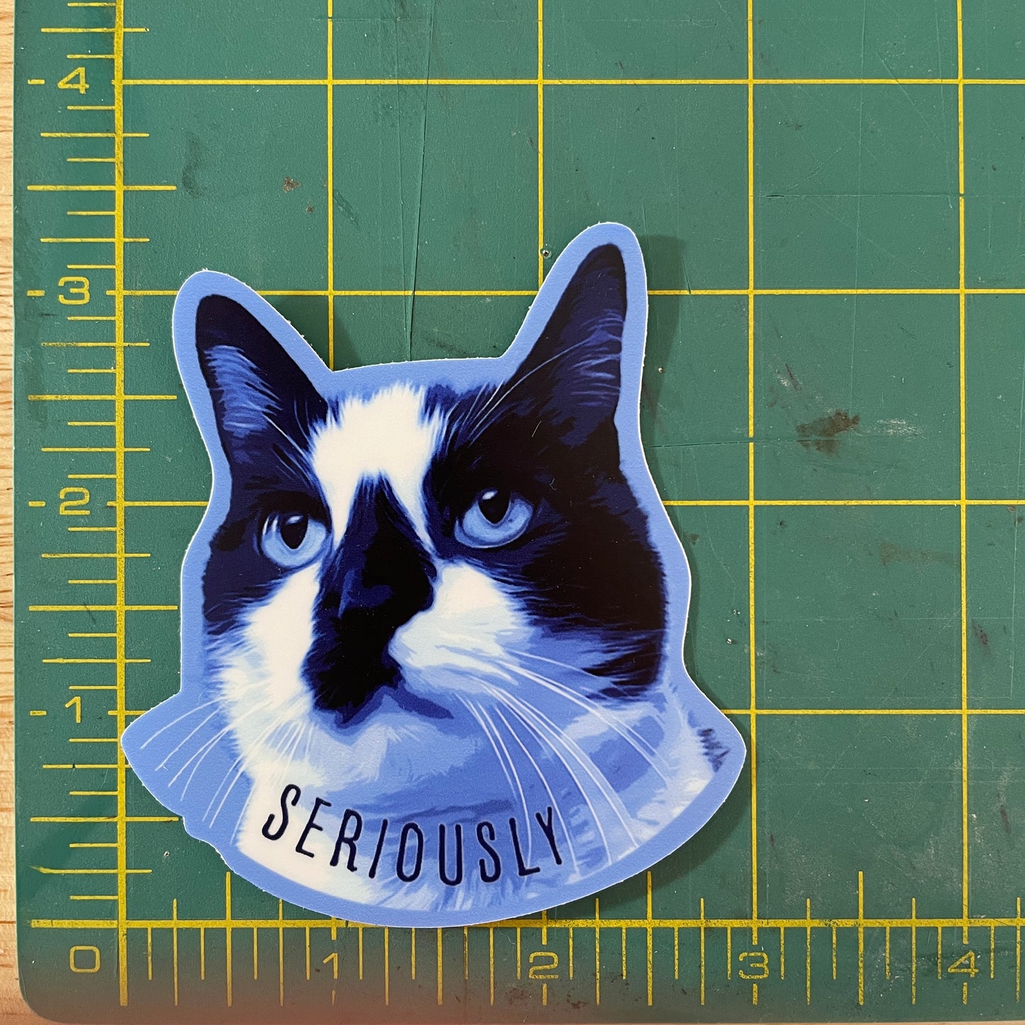 Serious Cat funny animal sticker