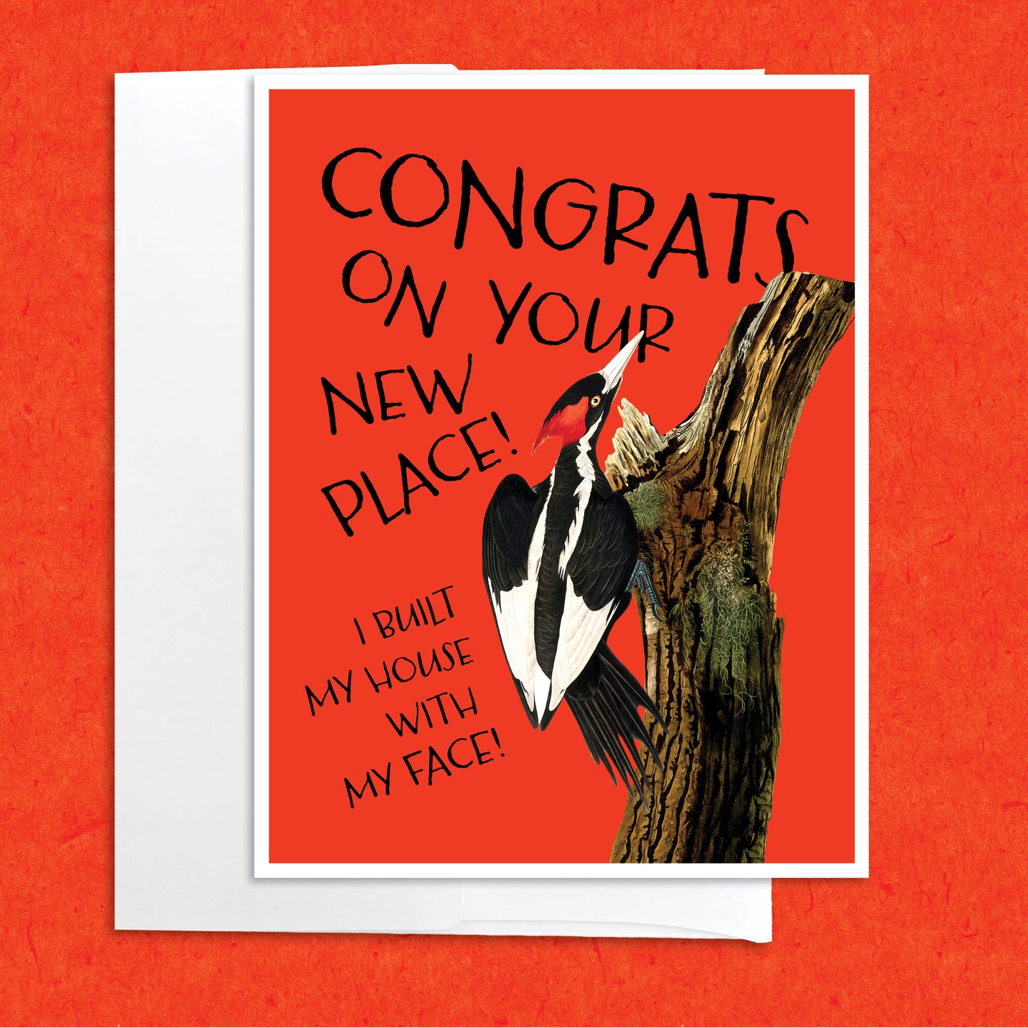 Woodpecker Housewarming funny greeting card
