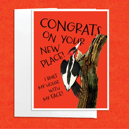 Woodpecker Housewarming funny greeting card