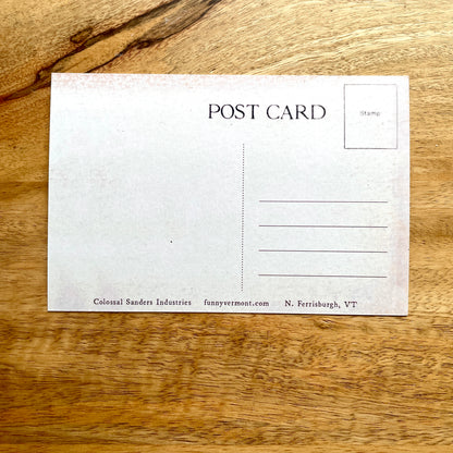 Vermont Cheddar funny cheese postcard