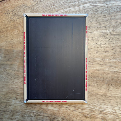 Chicken Noodle Soup Pill funny magnet