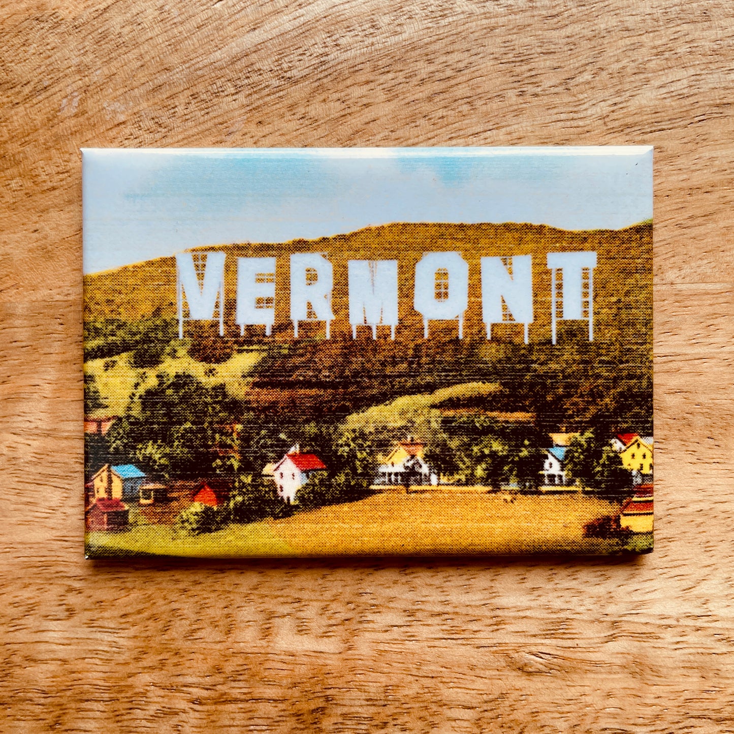 Vermont Sign funny magnet