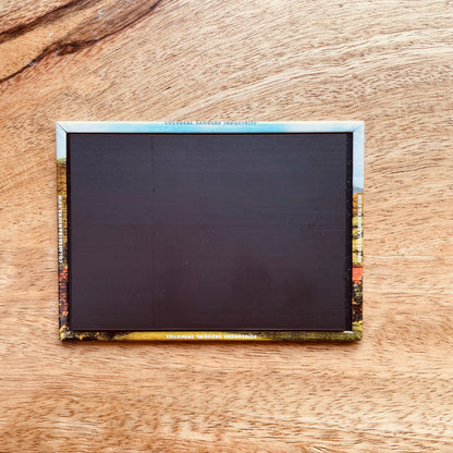 Vermont Sign funny magnet