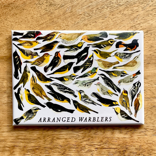 Warblers, Arranged funny bird magnet