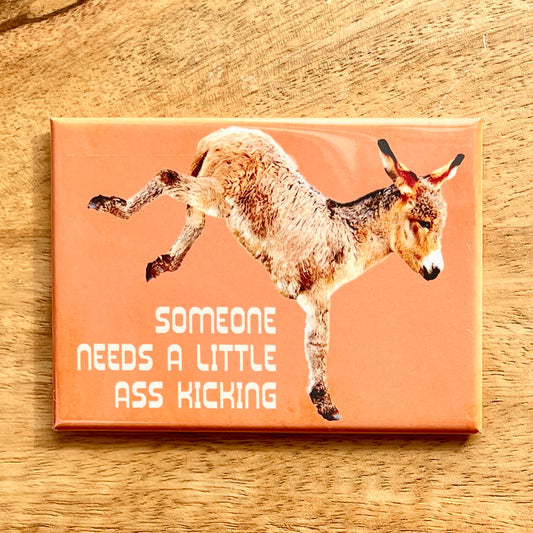 Ass Kicking funny donkey magnet