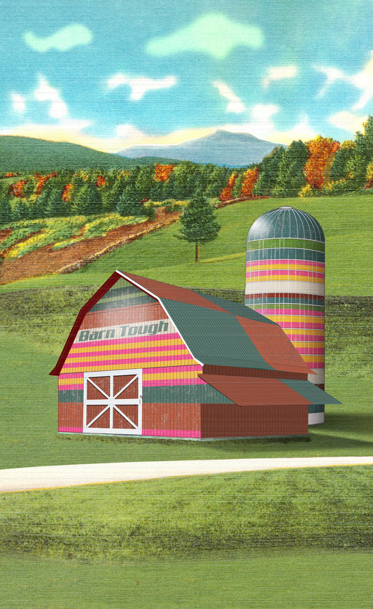 Barn Tough (barn and silo) art print