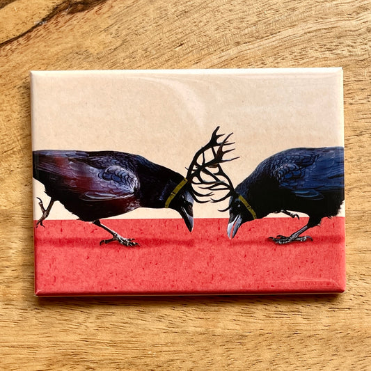 Crow Fight funny bird magnet
