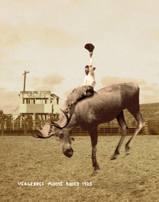 Moose Rodeo funny art print