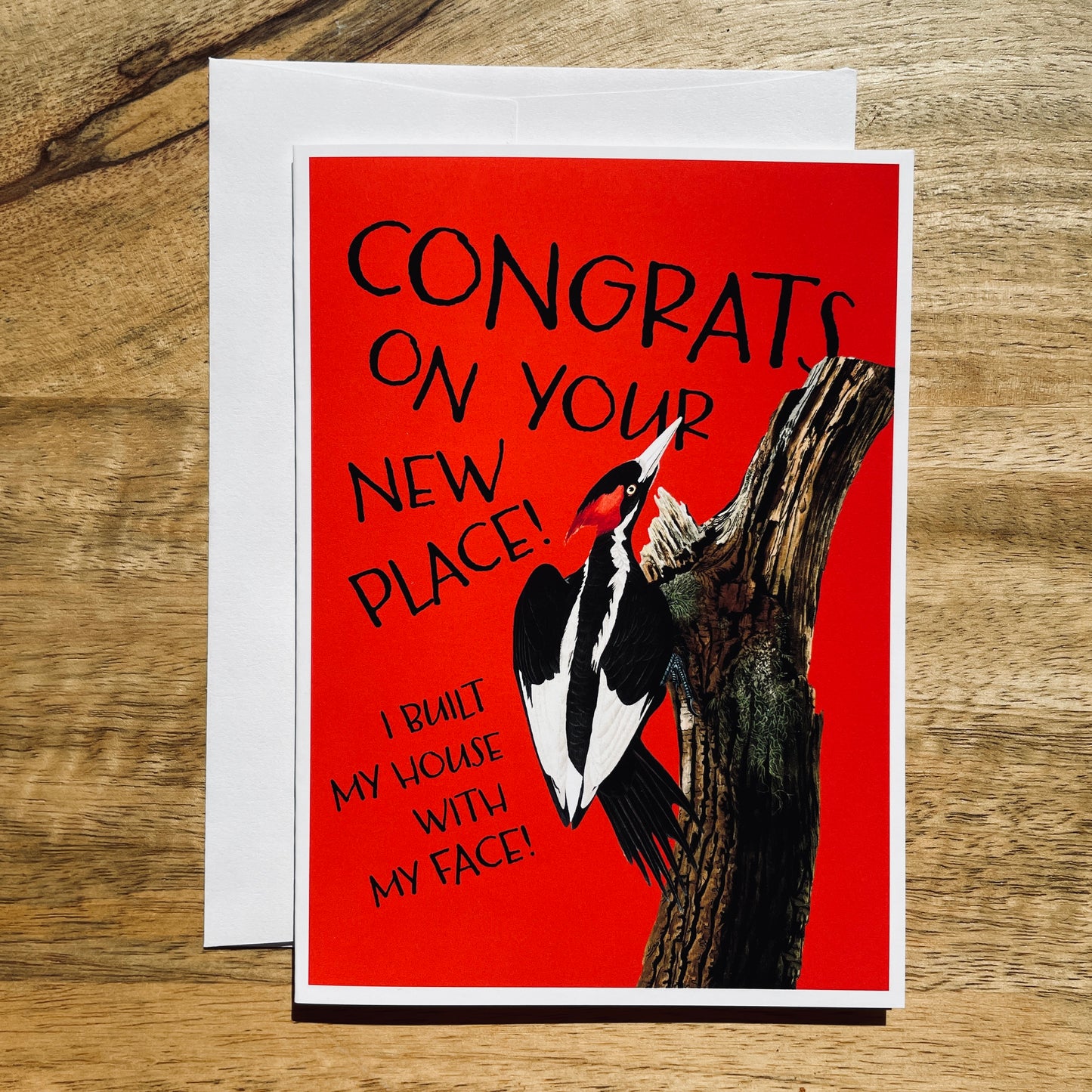 Woodpecker Housewarming funny greeting card