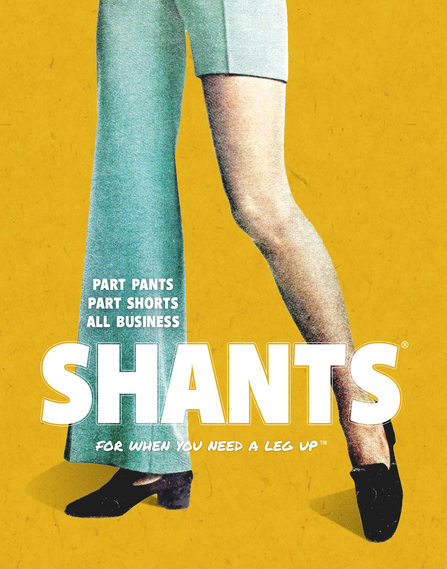 Shants funny art print