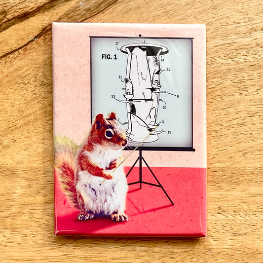Squirrel Birdfeeder funny magnet