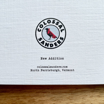 Congrats on Your New Addition Baby funny quirky greeting car