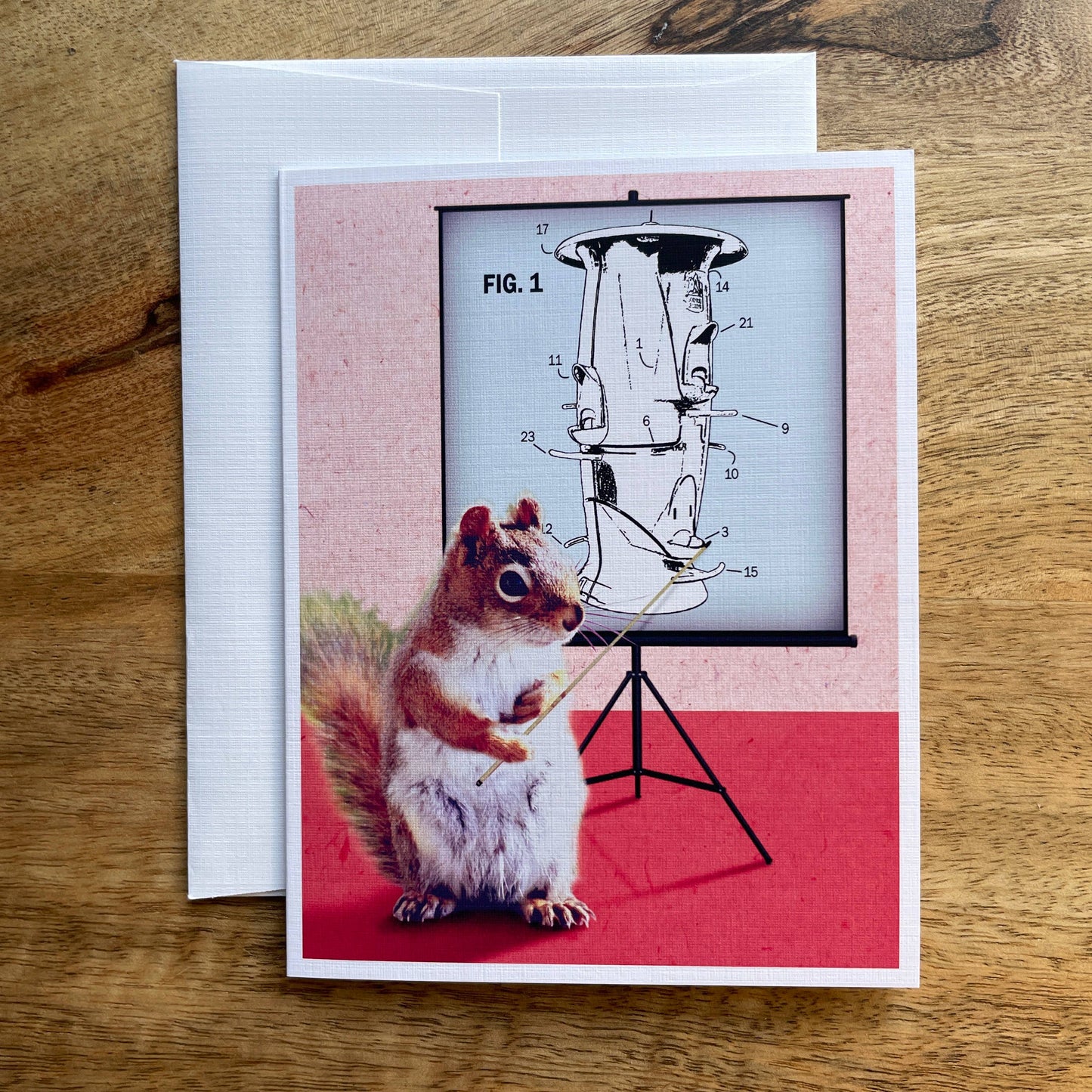 Squirrel/Birdfeeder 101 funny bird greeting card