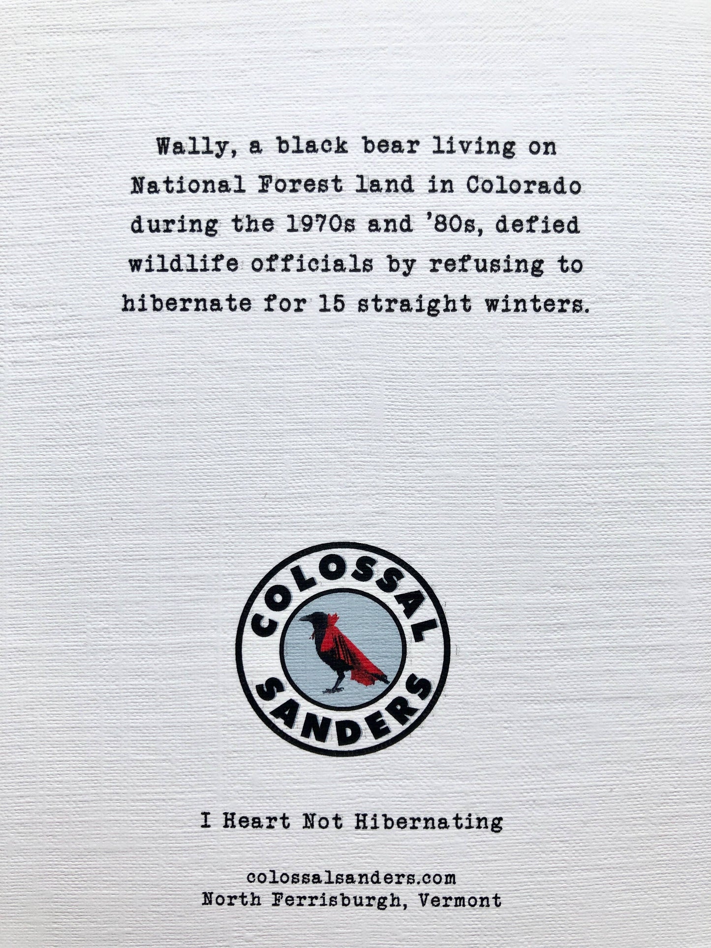 Bear Not Hibernating funny animal greeting card