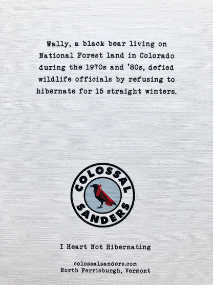 Bear Not Hibernating funny animal greeting card