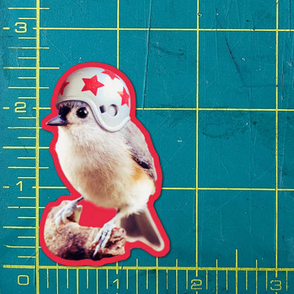 Bird Wearing Helmet funny bird sticker