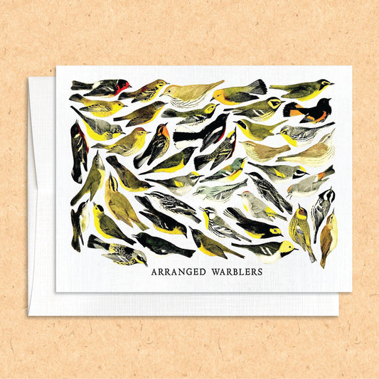 Arranged Warblers bird card