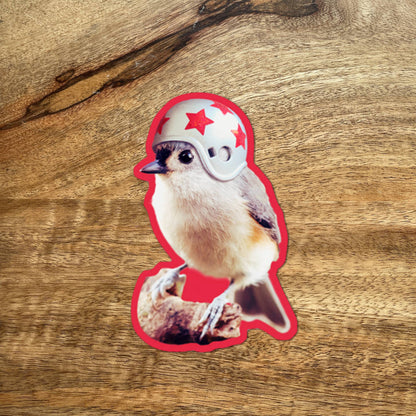 Bird Wearing Helmet funny bird sticker