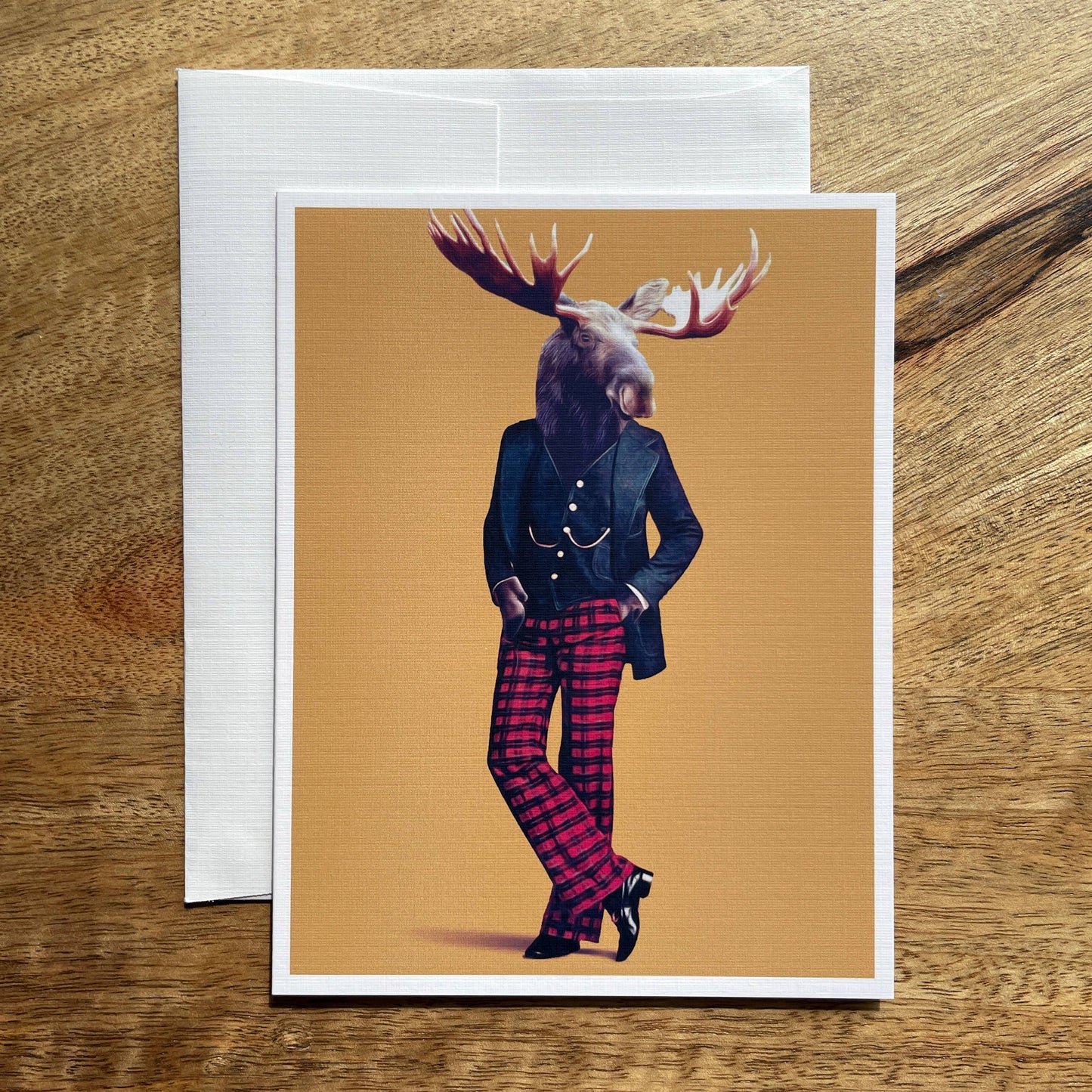 Moose in Clothes funny animal greeting card